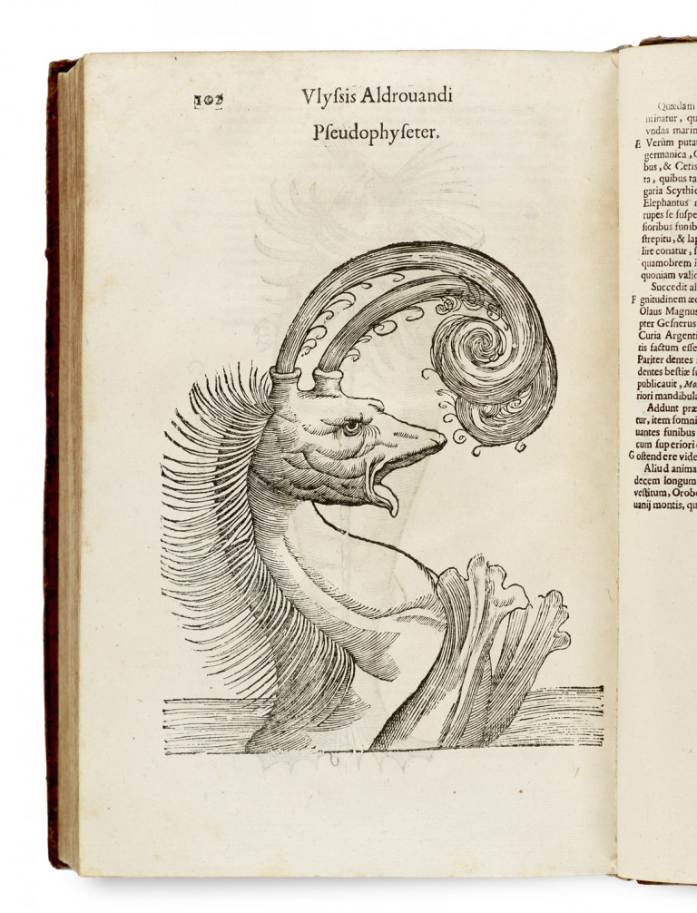 Bild:
                        Los 1006