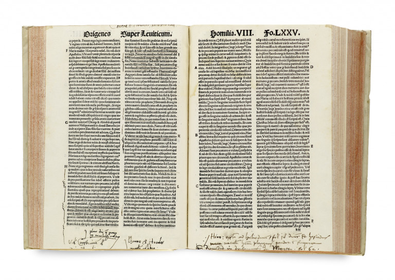 Bild:
                        Los 30