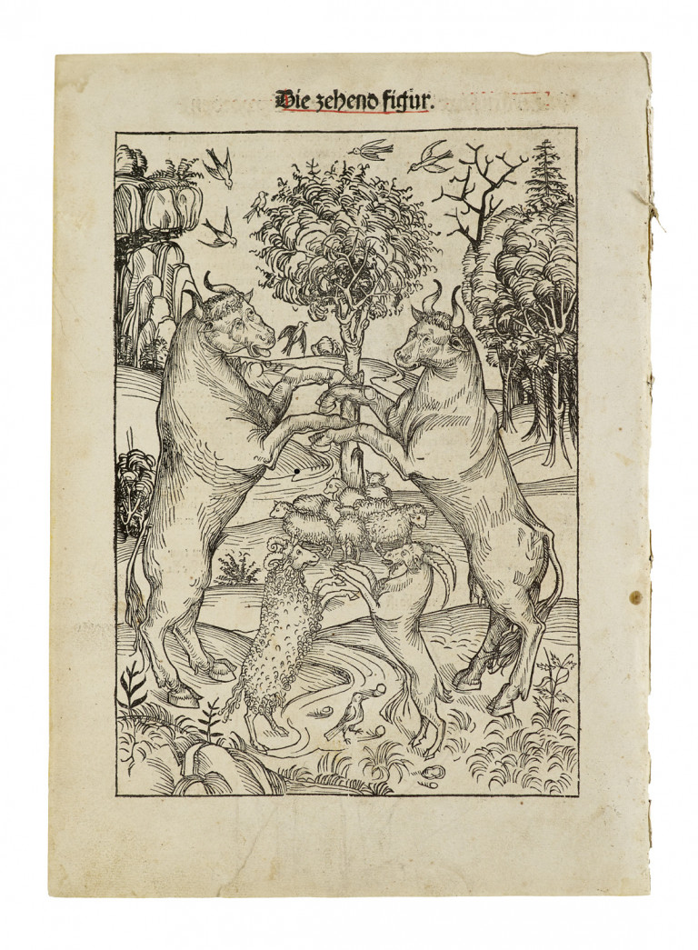 Bild:
                        Los 12