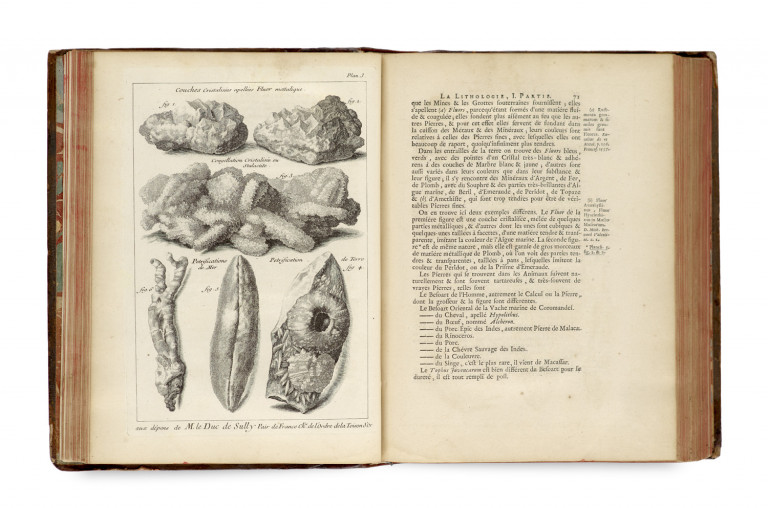 Bild:
                        Los 960