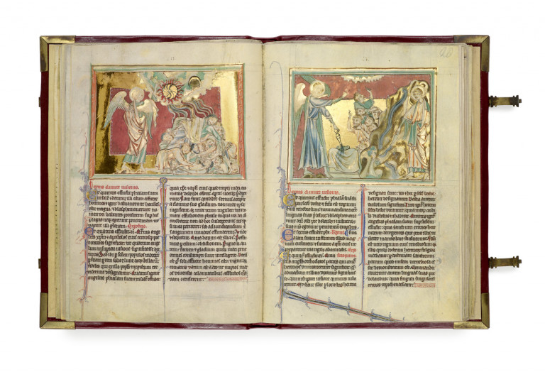 Image:
                        Lot 241