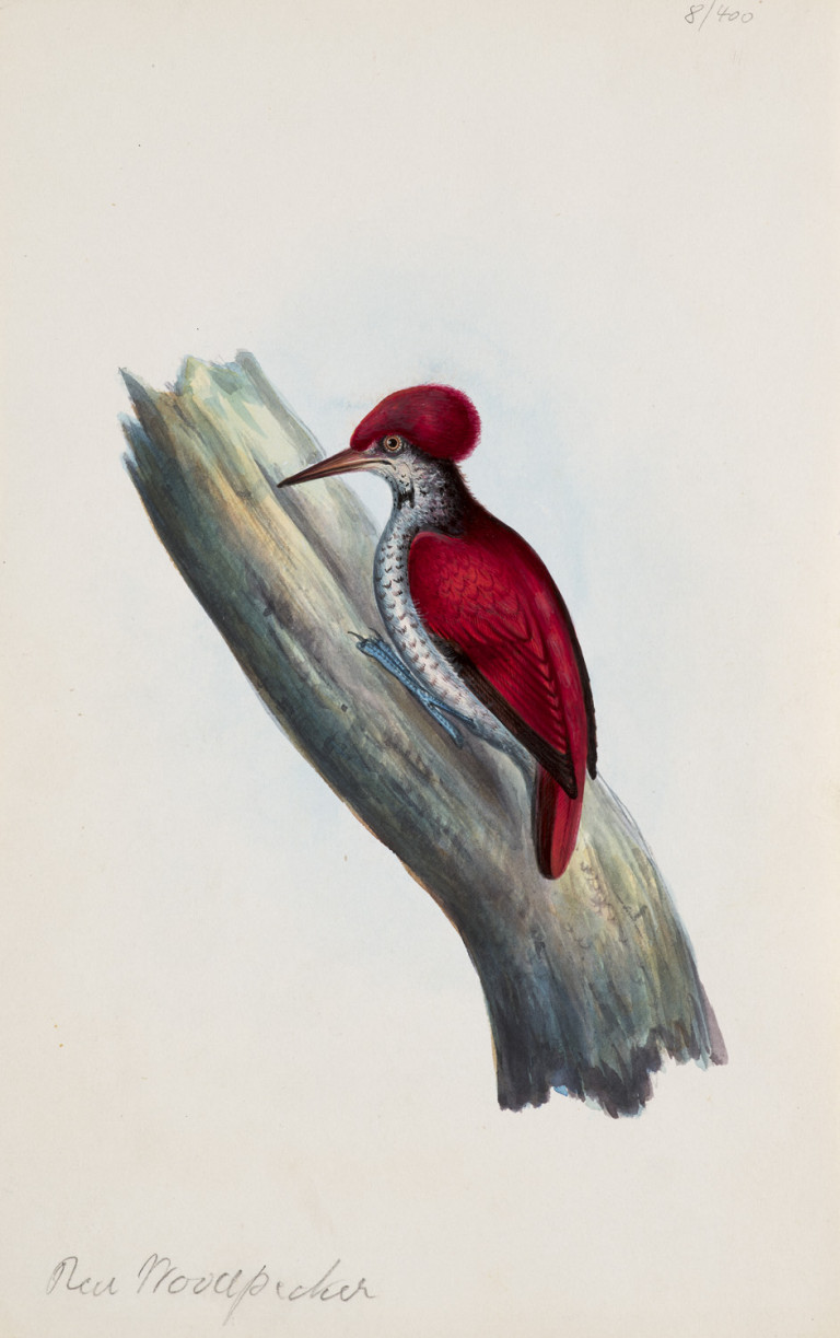 Image:
                        Lot 1061