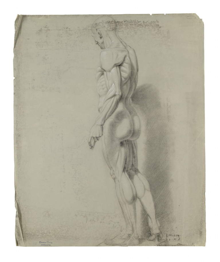 Bild:
                        Los 1621