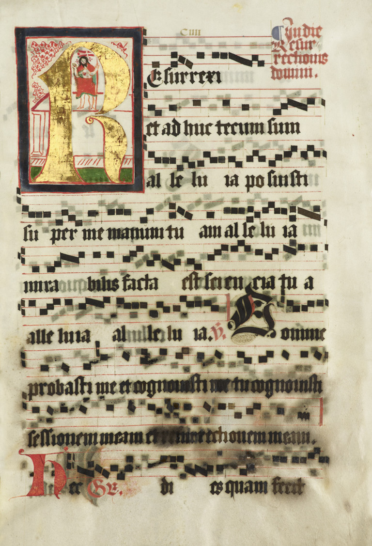 Image:
                        Lot 176