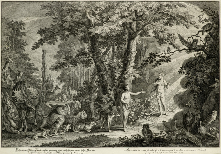 Image:
                        Lot 1497