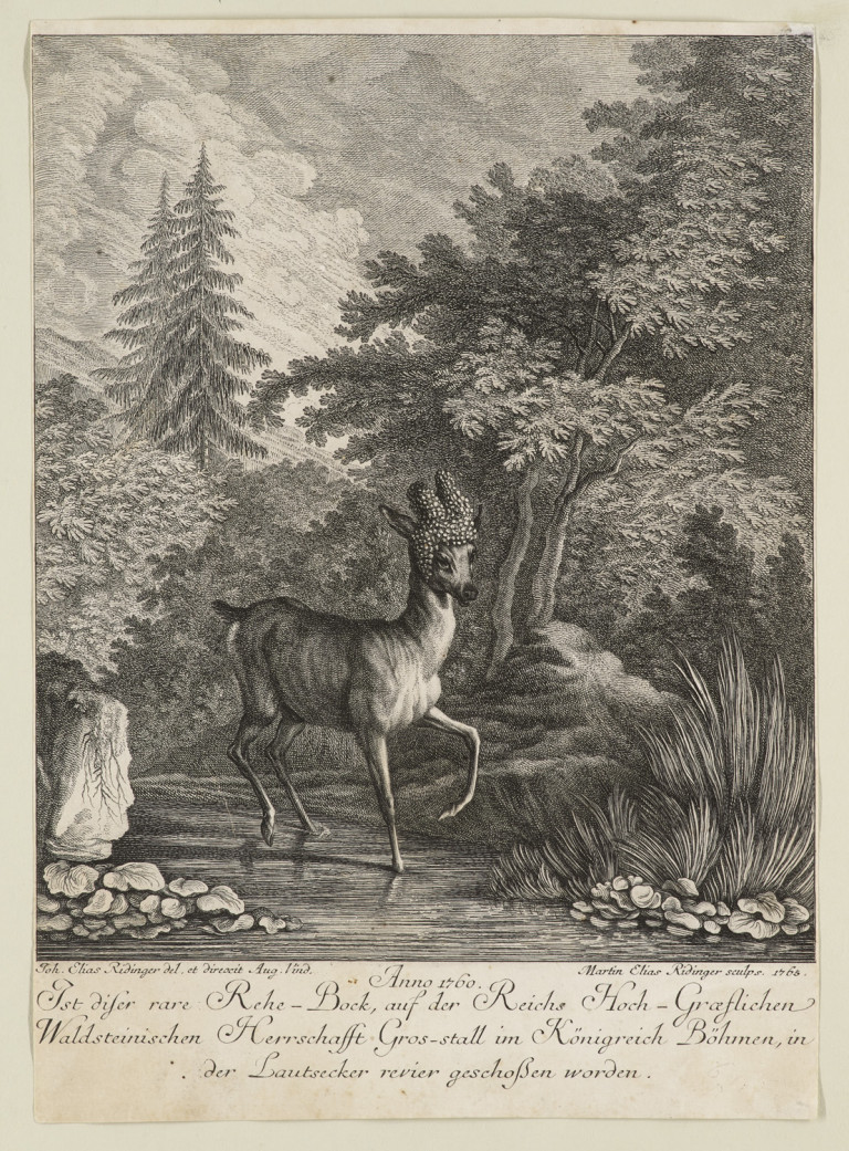 Bild:
                        Los 1500