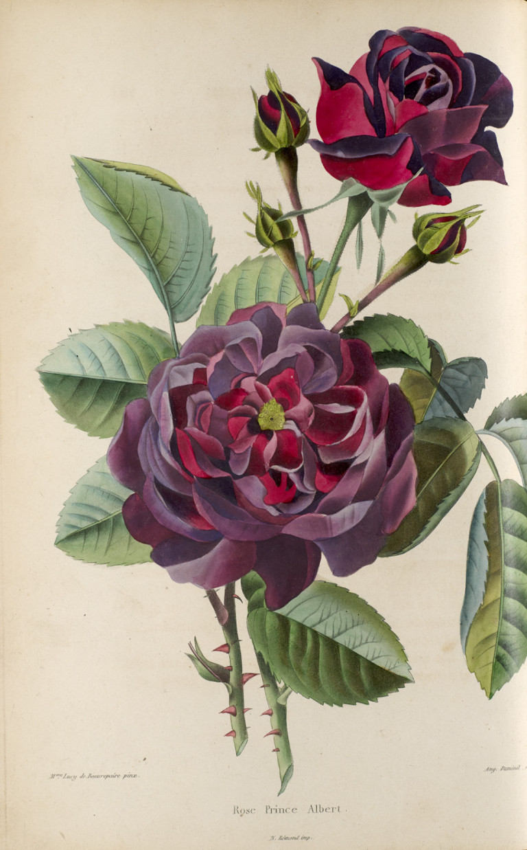 Bild:
                        Los 933