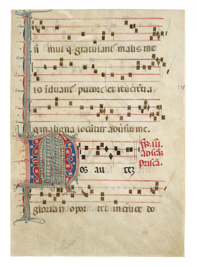 Image:
                        Lot 177