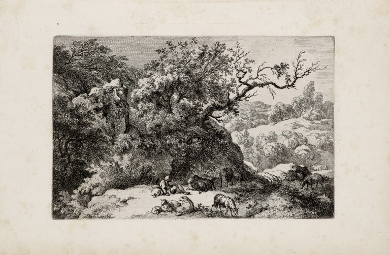 Bild:
                        Los 1490