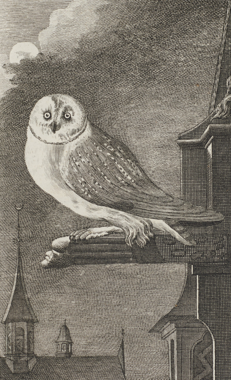 Image:
                        Lot 1042