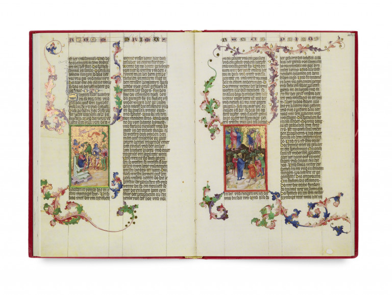 Image:
                        Lot 261