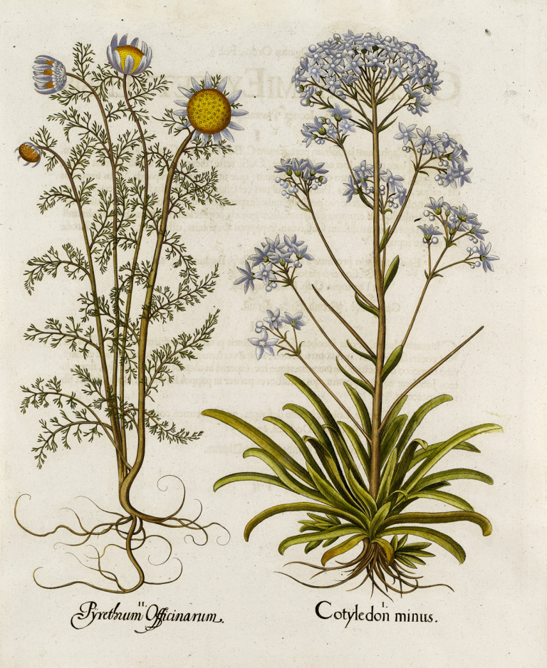 Bild:
                        Los 1072