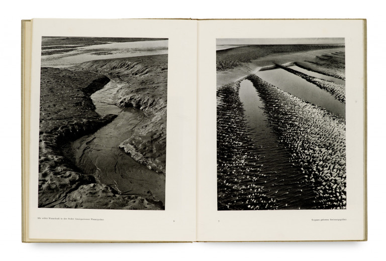 Image:
                        Lot 737