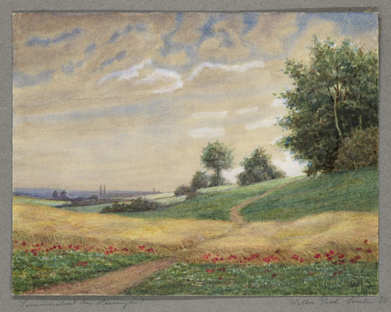 Image:
                        Lot 1569