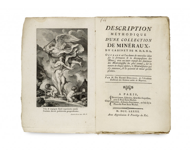 Bild:
                        Los 958