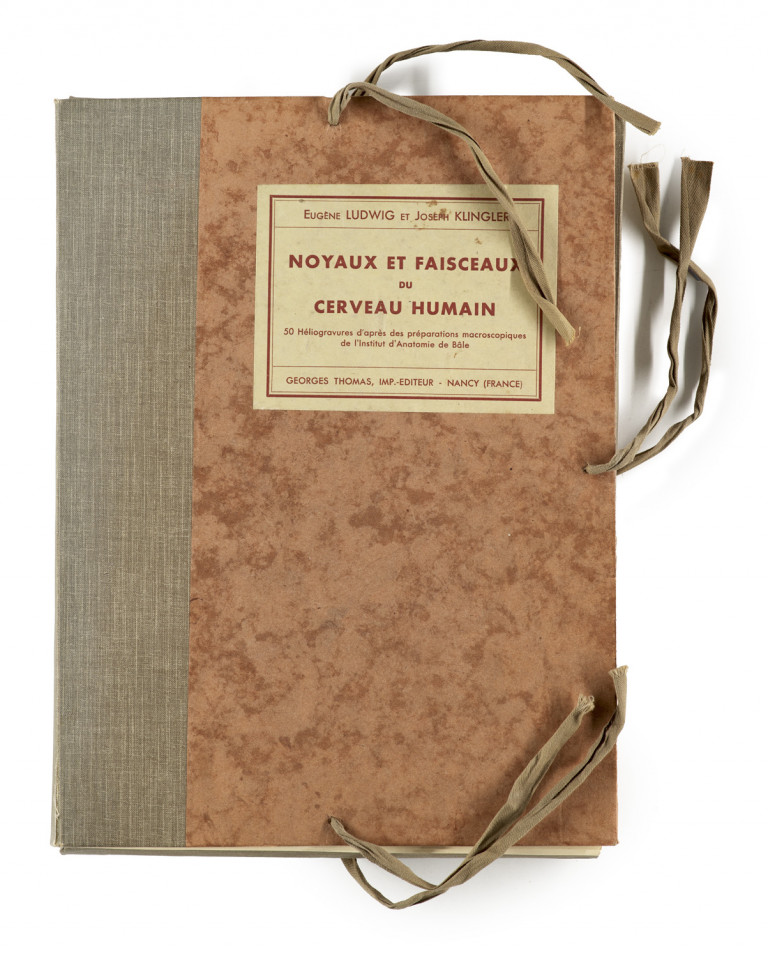 Bild:
                        Los 987