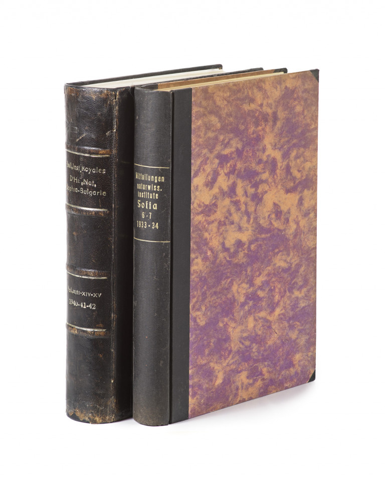 Image:
                        Lot 1028