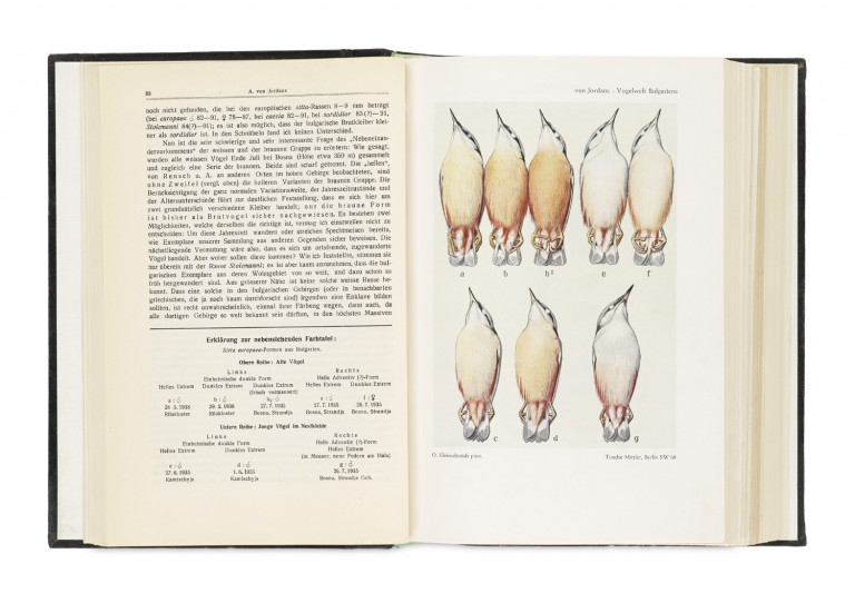 Lot 1028