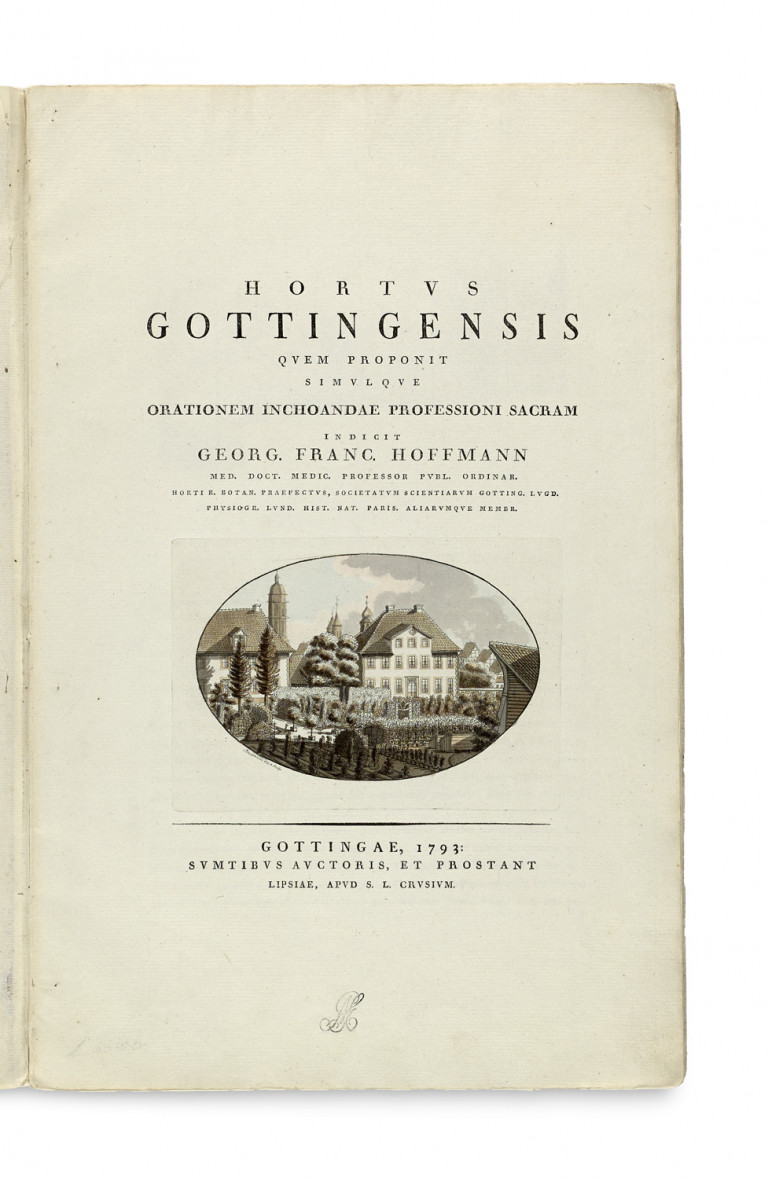 Image:
                        Lot 846