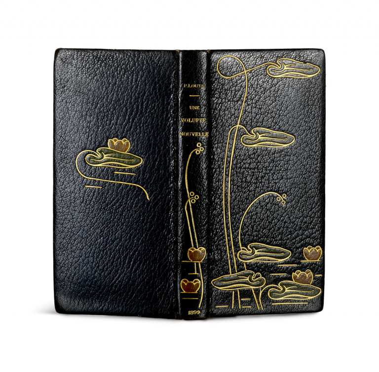 Image:
                        Lot 557