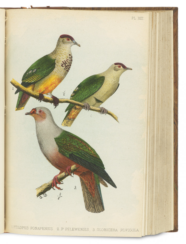 Bild:
                        Los 1045