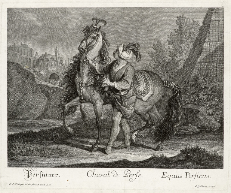 Bild:
                        Los 1499