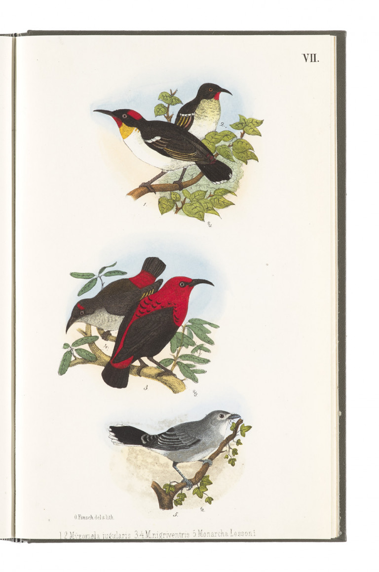 Image:
                        Lot 1046