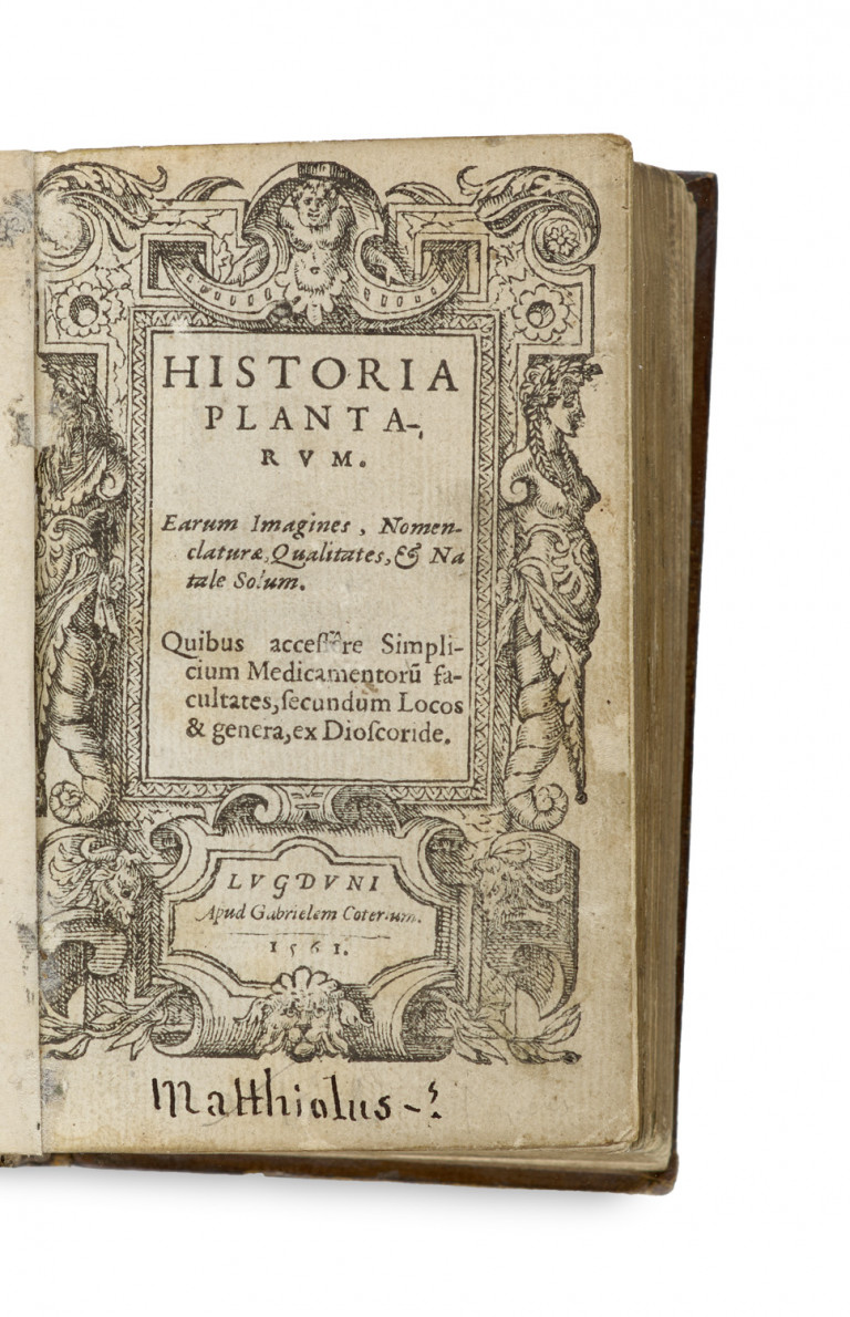 Image:
                        Lot 940