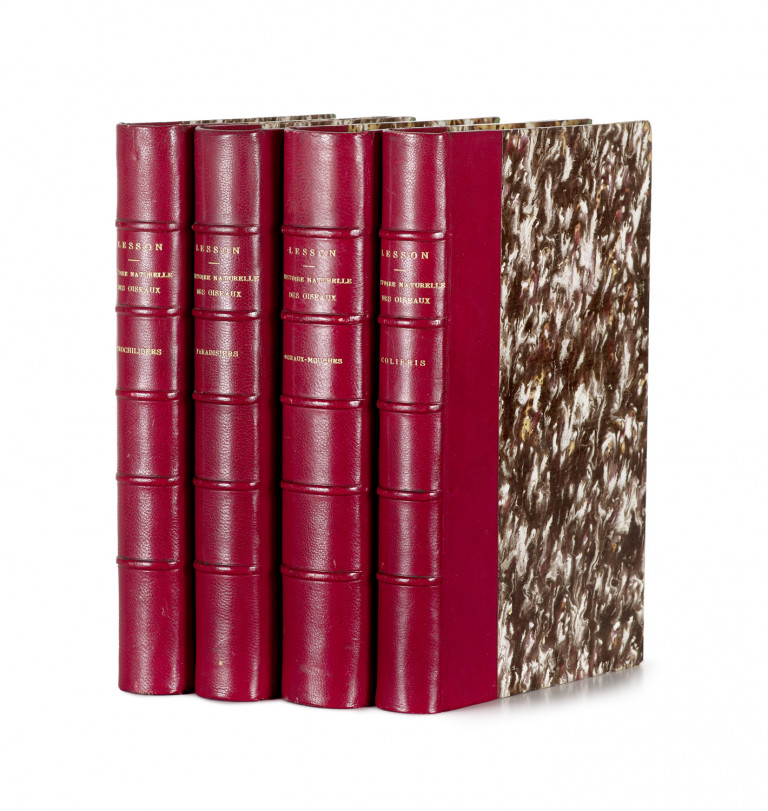 Bild:
                        Los 1050