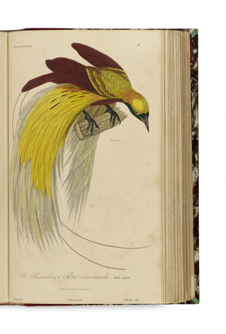 Image:
                        Lot 1050