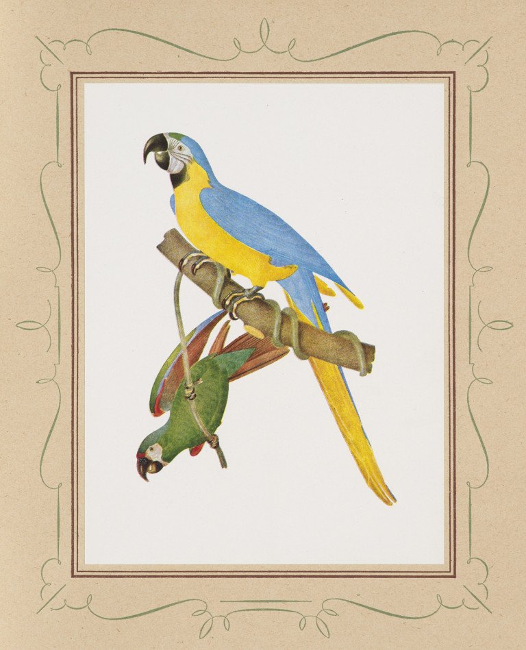 Image:
                        Lot 1044