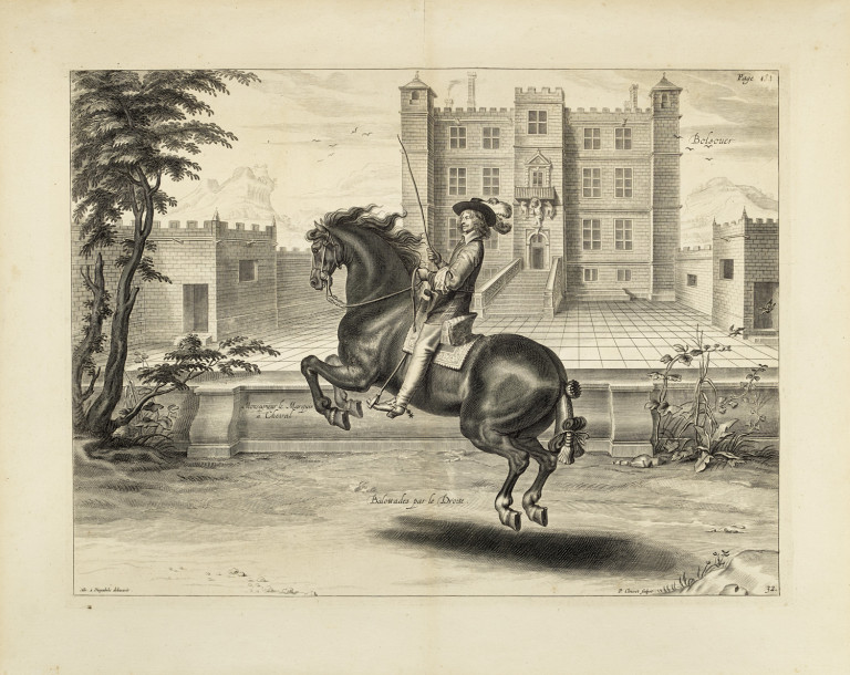 Bild:
                        Los 1361