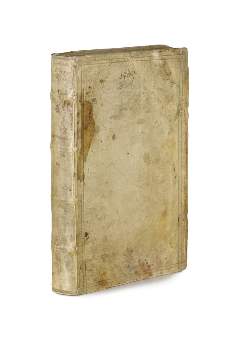 Bild:
                        Los 1