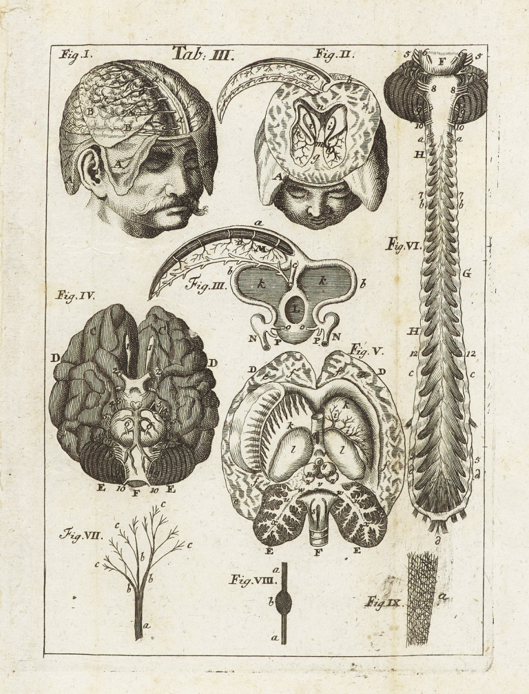 Bild:
                        Los 985