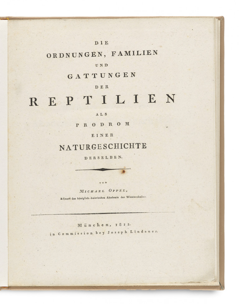 Bild:
                        Los 1032