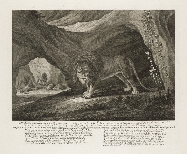 Image:
                        Lot 1504