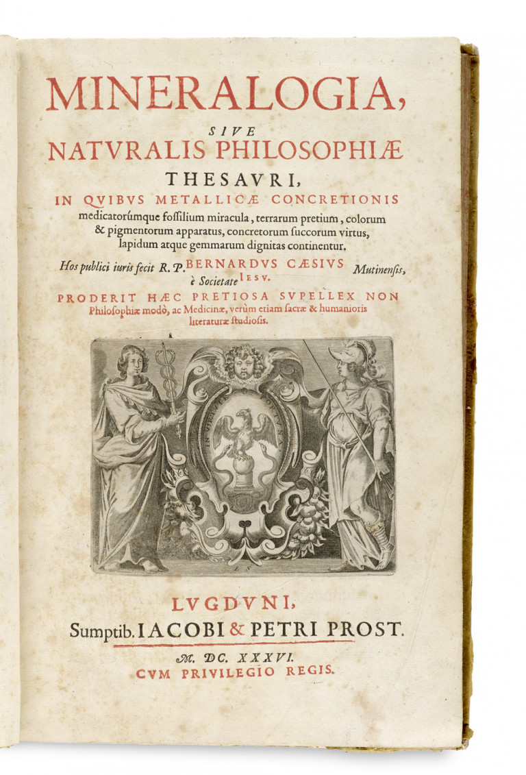 Bild:
                        Los 952