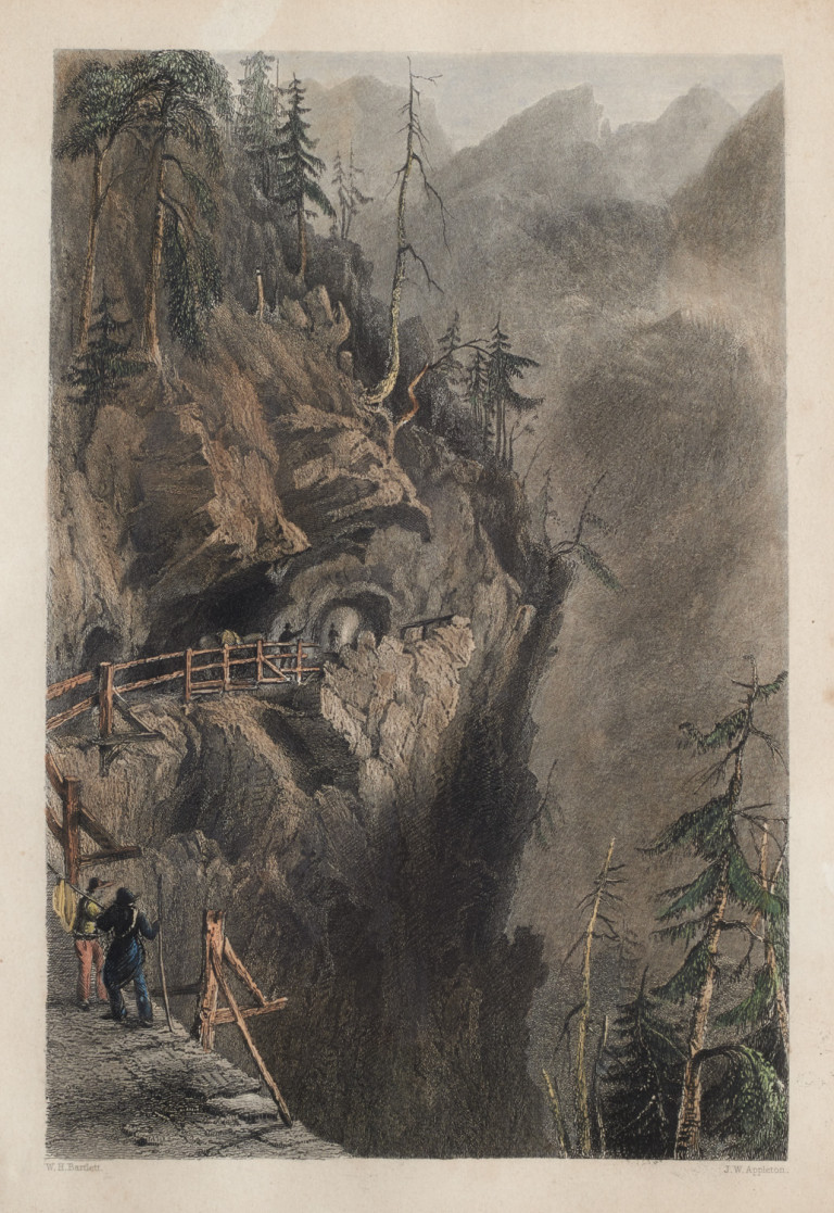 Image:
                        Lot 1221