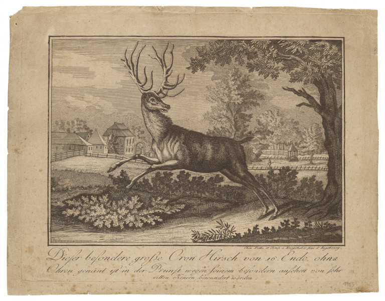 Bild:
                        Los 1482