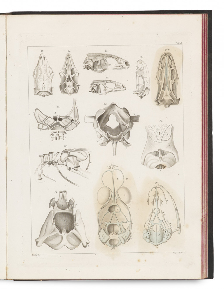 Bild:
                        Los 1025