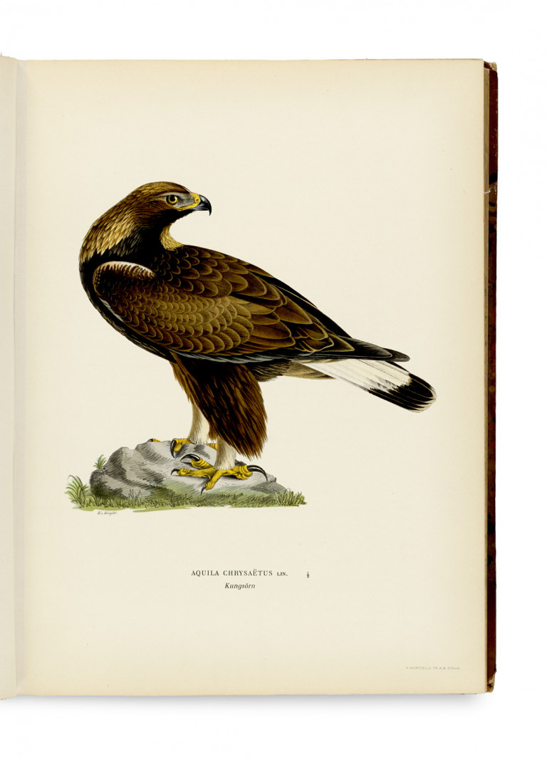 Bild:
                        Los 1054