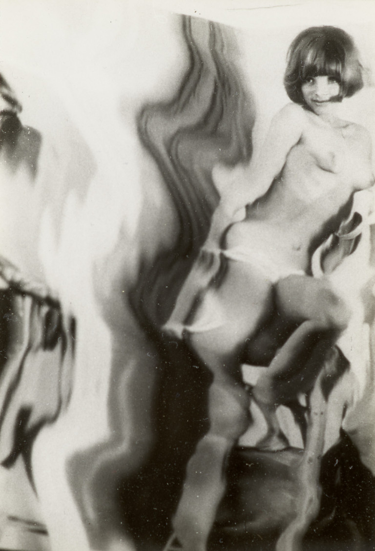 Image:
                        Lot 1386