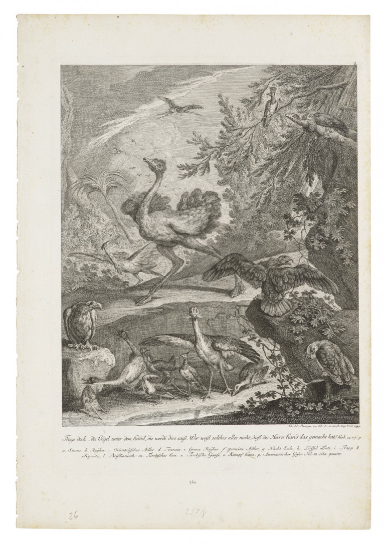 Bild:
                        Los 1502