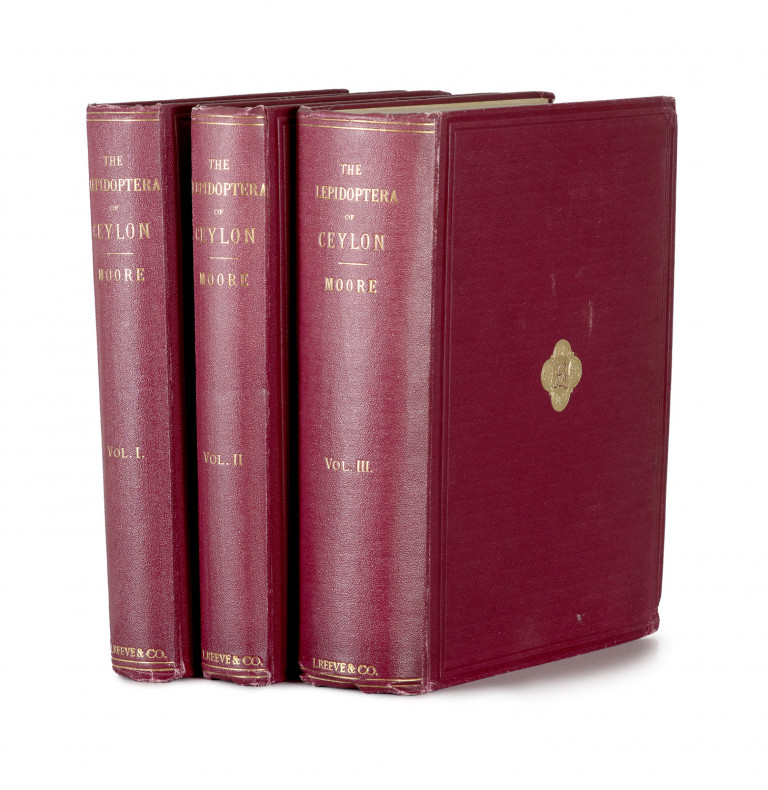 Bild:
                        Los 1023