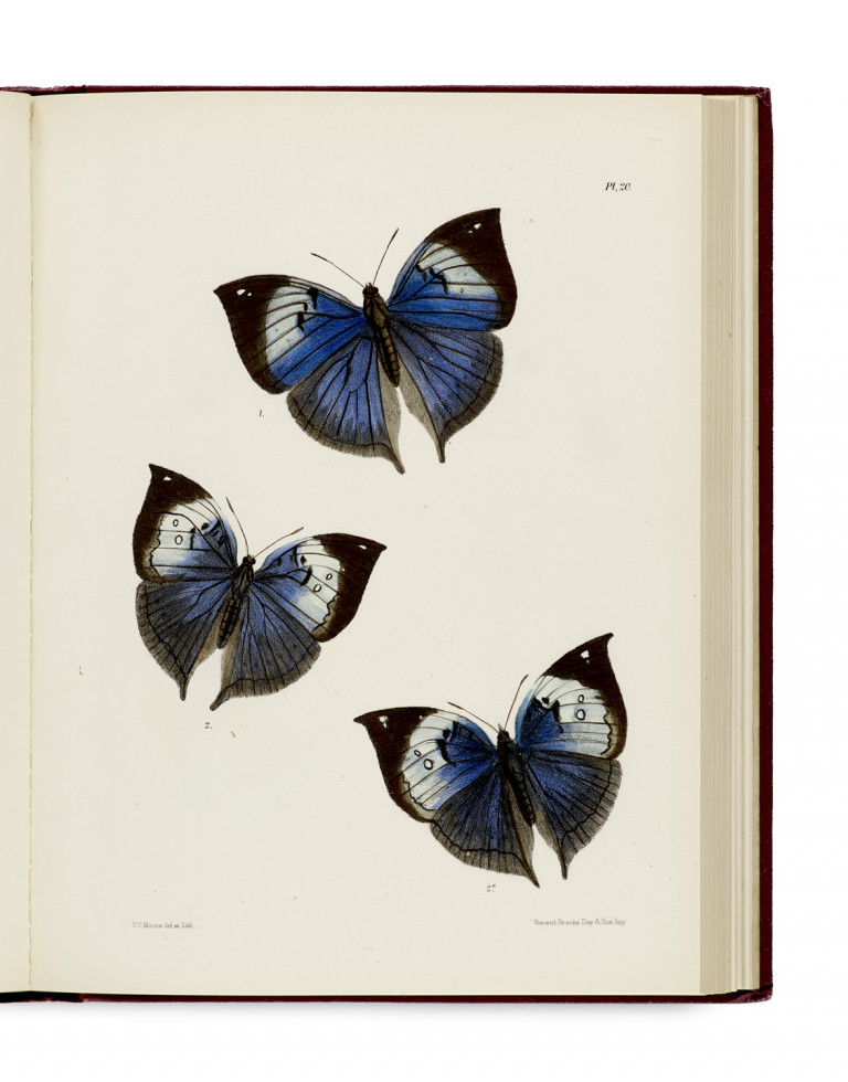 Lot 1023