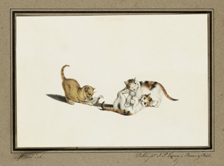 Image: 1