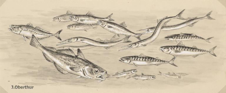 Image:
                        Lot 1060