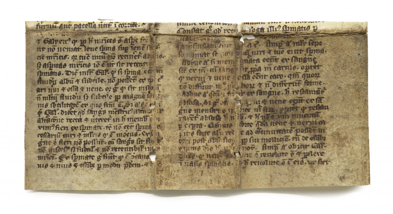 Bild:
                        Los 171