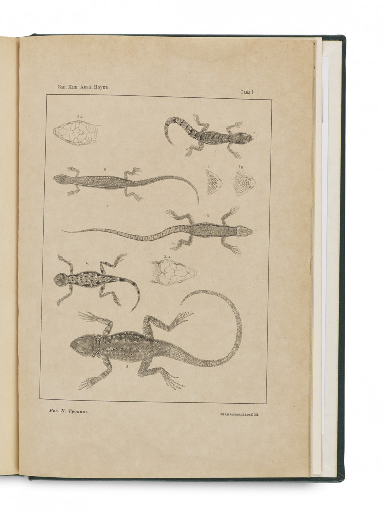 Image:
                        Lot 1030