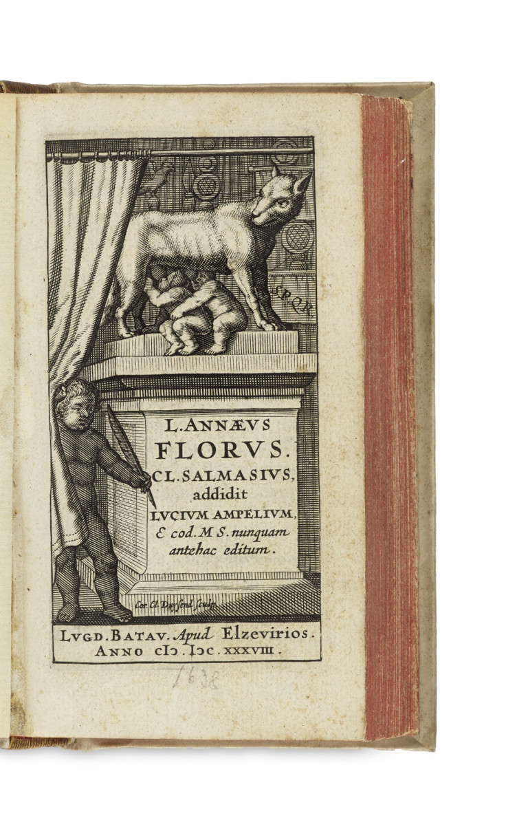 Image:
                        Lot 9